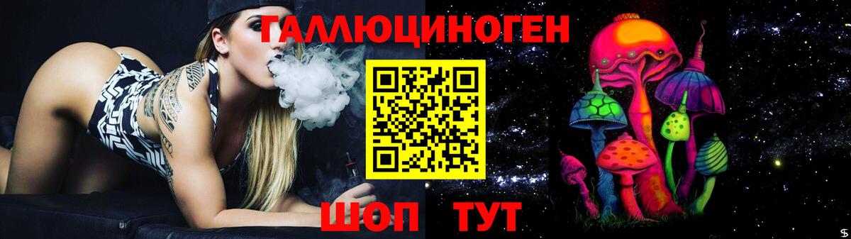 Псилоцибиновые грибы Cubensis  Вход с VPN  Богородицк  Псилоцибиновые грибы Cubensis 